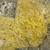 Wulfenite<br />Poudrette Quarry, Mont Saint-Hilaire, La Vallée-du-Richelieu RCM, Montérégie, Québec, Canada<br />FOV = 2mm<br /> (Author: Doug)