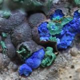 Azurita con malaquitaMina de la Turquesa, Cornudella de Montsant, Comarca Priorat, Tarragona, Cataluña / Catalunya, EspañaEncuadre aprox. 0,8 cm, 5 x 4 x 2 cm. la pieza (Autor: karbu8)