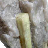 Beryl<br />Hühnerkobel Mine, Rabenstein, Zwiesel, Lower Bavaria, Bavaria/Bayern, Germany<br />10,4 cm crystal<br /> (Author: Andreas Gerstenberg)