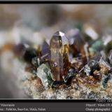 Vesuvianite and Clinochlore<br />Felskinn, Fee Glacier, Saas Fee, Saas Valley, Zermatt - Saas Fee, Wallis (Valais), Switzerland<br />fov 4,5 mm<br /> (Author: ploum)