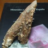 Mica pseudo Cordierita (gigantolita)<br />Guadalix de la Sierra, Comarca Cuenca Alta del Manzanares, Comunidad de Madrid, España<br />60x10 mm<br /> (Autor: Ignacio)