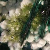 Atacamite and chrysocolla<br />La Farola Mine, Cerro Pintado, Las Pintadas District, Tierra Amarilla, Copiapó Province, Atacama Region, Chile<br />FOV= 20 mm<br /> (Author: Adrian Pripoae)