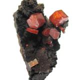Vanadinite<br />Taouz, Er Rachidia Province, Drâa-Tafilalet Region, Morocco<br />Largest vanadinite 5 mm, specimen height 4 cm<br /> (Author: Tobi)