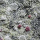 Annabergita cobaltíferaPedrera Tamariu, Martorell, Comarca Baix Llobregat, Barcelona, Cataluña / Catalunya, España5 x 4 x 3 cm (Autor: karbu8)