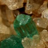 Beryl (variety emerald), Albite (variety cleavelandite)<br />Chivor mining district, Municipio Chivor, Eastern Emerald Belt, Boyacá Department, Colombia<br />64x39x53mm, main xl=23mm<br /> (Author: Fiebre Verde)