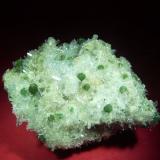 Cookeita y Cuarzo.<br />Mina Stand-on-Your-Head No. 1, Bland, Saline County, Arkansas, USA<br />60x45 mm.<br /> (Autor: Jesus Franquesa Baucells)