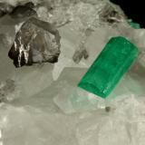 Beryl (variety emerald), Calcite<br />Coscuez mining district, Municipio San Pablo de Borbur, Western Emerald Belt, Boyacá Department, Colombia<br />54x34x50mm, both xls=13mm<br /> (Author: Fiebre Verde)