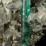 Beryl (variety emerald), Calcite, Pyrite, Dolomite<br />Chivor mining district, Municipio Chivor, Eastern Emerald Belt, Boyacá Department, Colombia<br />98x70x38mm, xl=31mm<br /> (Author: Fiebre Verde)