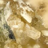 Hilairite<br />Poudrette Quarry, Mont Saint-Hilaire, La Vallée-du-Richelieu RCM, Montérégie, Québec, Canada<br />FOV = 2mm<br /> (Author: Doug)