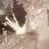 Lintisite<br />Poudrette Quarry, Mont Saint-Hilaire, La Vallée-du-Richelieu RCM, Montérégie, Québec, Canada<br />FOV = 2mm<br /> (Author: Doug)
