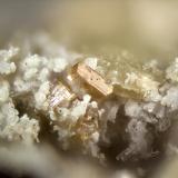 Nenadkevichite<br />Poudrette Quarry, Mont Saint-Hilaire, La Vallée-du-Richelieu RCM, Montérégie, Québec, Canada<br />FOV = 2mm<br /> (Author: Doug)