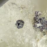 Loparite-(Ce)<br />Poudrette Quarry, Mont Saint-Hilaire, La Vallée-du-Richelieu RCM, Montérégie, Québec, Canada<br />FOV = 1.5mm<br /> (Author: Doug)