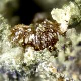 Labuntsovite-(Mn)<br />Poudrette Quarry, Mont Saint-Hilaire, La Vallée-du-Richelieu RCM, Montérégie, Québec, Canada<br />FOV = 2mm<br /> (Author: Doug)