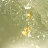 Andradite<br />Poudrette Quarry, Mont Saint-Hilaire, La Vallée-du-Richelieu RCM, Montérégie, Québec, Canada<br />FOV = 2mm<br /> (Author: Doug)
