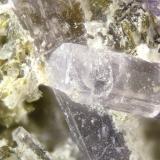 Cancrisilite<br />Poudrette Quarry, Mont Saint-Hilaire, La Vallée-du-Richelieu RCM, Montérégie, Québec, Canada<br />FOV = 2mm<br /> (Author: Doug)