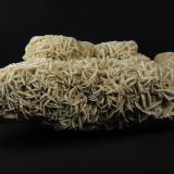 Gypsum<br />Samalayuca Desert, Municipio Ahumada, Chihuahua, Mexico<br />19.3 x 8 x 6 centimeters<br /> (Author: Ricardo Melendez)