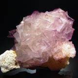 Fluorite<br />East Faircloth, Faircloth Veins, Mundy's Landing, Harrodsburg, Woodford County, Kentucky, USA<br />6.8 x 9.1 cm<br /> (Author: crosstimber)