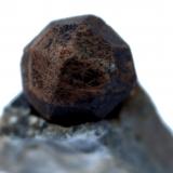 Granate<br />Felluns, Macizo Agly, Pirineos Orientales, Occitanie, Francia<br />30 x 20 x 11 mm.<br /> (Autor: José Luis Zamora)