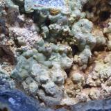Piromorfita<br />Mina de Vallclara, Mas de lAnglès, Vallclara, Comarca Conca de Barberà, Tarragona, Cataluña / Catalunya, España<br />Encuadre 3x2cm aprox.<br /> (Autor: heat00)