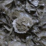 Barita<br />Mines Can Palomeres, Malgrat de Mar, Comarca Maresme, Barcelona, Cataluña / Catalunya, España<br />Encuadre 3x2cm aprox.<br /> (Autor: heat00)