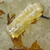 Haineaultite<br />Poudrette Quarry, Mont Saint-Hilaire, La Vallée-du-Richelieu RCM, Montérégie, Québec, Canada<br />FOV = 2mm<br /> (Author: Doug)
