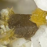Gmelinite-Na  Franconite<br />Poudrette Quarry, Mont Saint-Hilaire, La Vallée-du-Richelieu RCM, Montérégie, Québec, Canada<br />FOV = 4mm<br /> (Author: Doug)