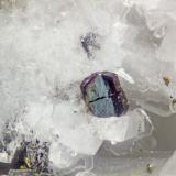 Columbite-(Fe)<br />Poudrette Quarry, Mont Saint-Hilaire, La Vallée-du-Richelieu RCM, Montérégie, Québec, Canada<br />FOV = 1.2mm<br /> (Author: Doug)