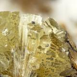 Elpidite<br />Poudrette Quarry, Mont Saint-Hilaire, La Vallée-du-Richelieu RCM, Montérégie, Québec, Canada<br /><br /> (Author: Doug)
