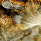 Natrolemoynite<br />Poudrette Quarry, Mont Saint-Hilaire, La Vallée-du-Richelieu RCM, Montérégie, Québec, Canada<br />FOV = 4mm<br /> (Author: Doug)