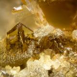 Monazite-(Ce)<br />Poudrette Quarry, Mont Saint-Hilaire, La Vallée-du-Richelieu RCM, Montérégie, Québec, Canada<br />FOV = 2mm<br /> (Author: Doug)