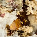 Manganoneptunite<br />Poudrette Quarry, Mont Saint-Hilaire, La Vallée-du-Richelieu RCM, Montérégie, Québec, Canada<br />FOV = 4mm<br /> (Author: Doug)