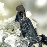 Magnesio-arfvedsonite<br />Poudrette Quarry, Mont Saint-Hilaire, La Vallée-du-Richelieu RCM, Montérégie, Québec, Canada<br />FOV = 4mm<br /> (Author: Doug)