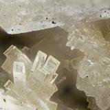 Horvathite-(Y)<br />Poudrette Quarry, Mont Saint-Hilaire, La Vallée-du-Richelieu RCM, Montérégie, Québec, Canada<br />FOV = 2mm<br /> (Author: Doug)