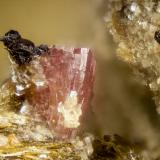 Petarasite<br />Poudrette Quarry, Mont Saint-Hilaire, La Vallée-du-Richelieu RCM, Montérégie, Québec, Canada<br />FOV = 2mm<br /> (Author: Doug)