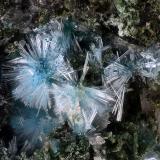 Caledonita.Bouillon vein, Saint-Pal-de-Mons, Yssingeaux, Haute-Loire, Auvergne-Rhône-Alpes, FranceCampo de visión 1,7 mm. (Autor: Juan Miguel)