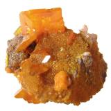 Wulfenite<br />Rowley Mine, Theba, Painted Rock District, Painted Rock Mountains, Maricopa County, Arizona, USA<br />Specimen size 3 cm, largest crystal 1,2 cm<br /> (Author: Tobi)