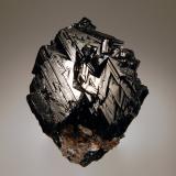 SchorlDistrito Jenipapo, Itinga, Vale do Jequitinhonha, Minas Gerais, Brasil4.7 x 5.0 cm (Author: crosstimber)