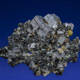 Galena, Sphalerite<br />September Mine (9th of September Mine) , Madan mining area, Rhodope Mountains, Smolyan Oblast, Bulgaria<br />11.4 x 10.0 cm<br /> (Author: am mizunaka)