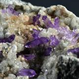 Quartz (var. amethyst), Calcite<br />Capurru Quarry, Osilo, Sassari Province, Sardinia/Sardegna, Italy<br />Fov 4.5 cm.<br /> (Author: Martin Rich)
