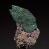 Malachite, Azurite, CerussiteTsumeb Mine, Tsumeb, Otjikoto Region, Namibia6.5 x 4.2 cm (Author: am mizunaka)