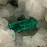 Beryl (variety emerald), Calcite<br />Muzo mining district, Western Emerald Belt, Boyacá Department, Colombia<br />130x85x100mm, xls up to 27mm<br /> (Author: Fiebre Verde)