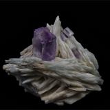 Fluorite, Barite<br />La Cabaña, Valdelmar, Berbes mining area, Berbes, Ribadesella, Comarca Oriente, Principality of Asturias (Asturias), Spain<br />6.0 x 4.9 cm<br /> (Author: am mizunaka)