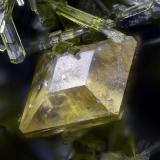 Titanita y epidota.Acedo claim (Juanona Quarry), Juanona, Antequera, Comarca de Antequera, Málaga, Andalusia, SpainCampo de visión 2 mm. (Autor: Juan Miguel)