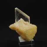 YesoMina Naica, Naica, Municipio Saucillo, Chihuahua, México3.4 x 3 x 3 centimetros (Autor: Ricardo Melendez)
