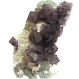 FluoriteDe'an Mine, Wushan, De'an, Jiujiang Prefecture, Jiangxi Province, ChinaSpecimen height 9,5 cm, largest fluorite crystal 1,5 cm (Author: Tobi)