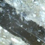 Micacita con epidota.
Otro cristal de turmalina
Sierra de Baza, Caniles, Granada, Andalucía, España.
400X (Autor: prcantos)