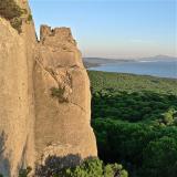 Calcarenita bioclástica conglomerática.
Cantera romana de Baelo-Claudia, Tarifa, Cádiz, España.
De aquí salió la pieza anterior.
El diedro que se observa a la izquierda es una corta para la fabricación de bloques cilíndricos para columnas, que eran debastados in situ, después rodados monte abajo hasta la playa (entonces no había pinos, esa ladera era un campo de dunas móviles) y transportados por mar a Baelo-Claudia, a unos 4 Km de distancia.
Muchas grietas como la que se ve en el centro están rellenas de calcita kárstica con una fuerte fluorescencia.
Al fondo a la derecha repuntan los 1.000 m del D’Jebel Musa, la columna de Hércules en la costa africana. (Autor: Josele)