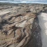 Toba sobre arena caliza
La Isleta, Gran Canaria, España
A pesar de su color claro, contrasta con la arena blanca formada por restos de concha triturados (Autor: María Jesús M.)