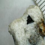 Carbonatita con cristal negro de latrappita
Oka, Québec (Canadá)
Carbonatita de grano fino con un cristal de latrappita (un ejemplar de la misma zona ya se discutió aquí http://www.foro-minerales.com/forum/viewtopic.php?t=7302 ). (Autor: prcantos)