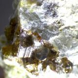 Carbonatita: otros cristales de vesubianita (misma roca).
Cove Creek exposure, Magnet Cove, Hot  Spring County, Arkansas (Estados Unidos)
60X (Autor: prcantos)